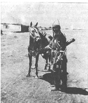 ���������� �  �������� ����������. 1883 �.